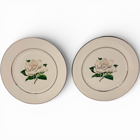 Embassy Other - Set of 2 Embassy Vitrified White Rose - Dinner Plate - 10 1/8" Diameter